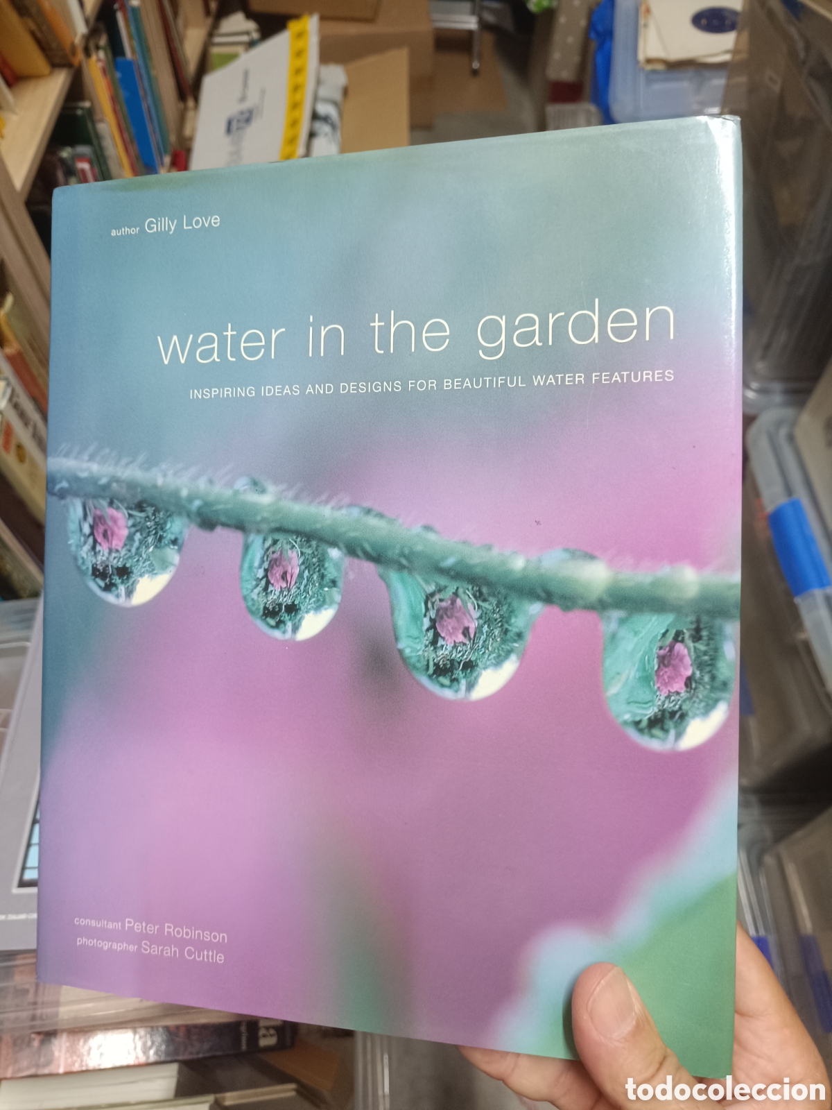 Libros de segunda mano: Water in the Garden (Jardiner&iacute;a)