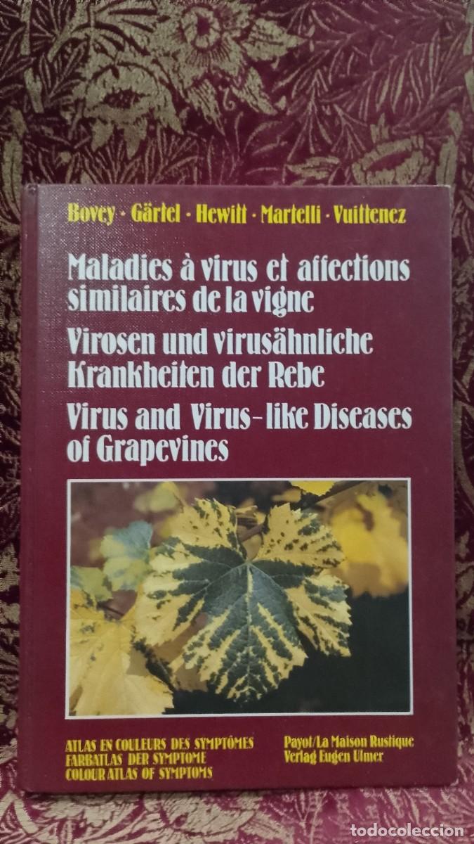 Libros de segunda mano: Maladies &agrave; Virus et Affections Similaires de la Vigne