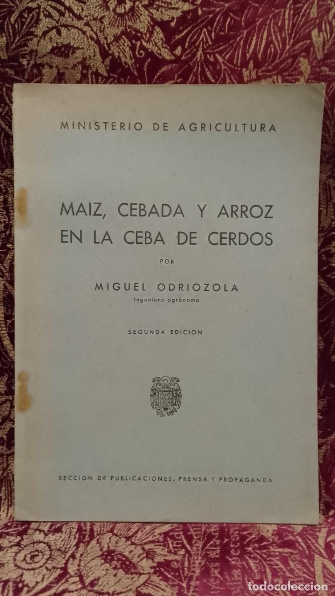 Libros de segunda mano: Maiz, Cebada y Arroz en la Ceba de Cerdos 1942 Miguel Odriozola