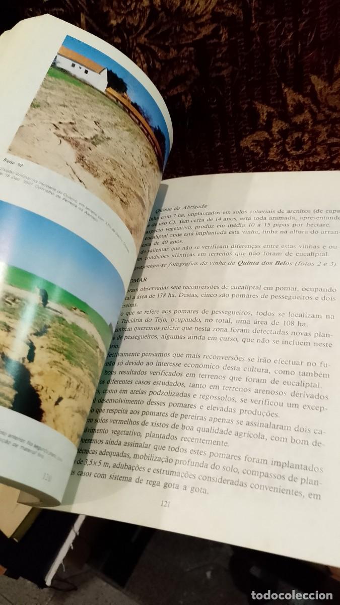 Libros de segunda mano: A Reconvers&atilde;o da Agricultura e a problem&aacute;tica do Eucalipto - Mariano Feio - Foto 3