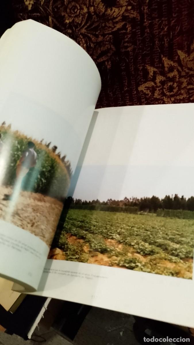 Libros de segunda mano: A Reconvers&atilde;o da Agricultura e a problem&aacute;tica do Eucalipto - Mariano Feio - Foto 4