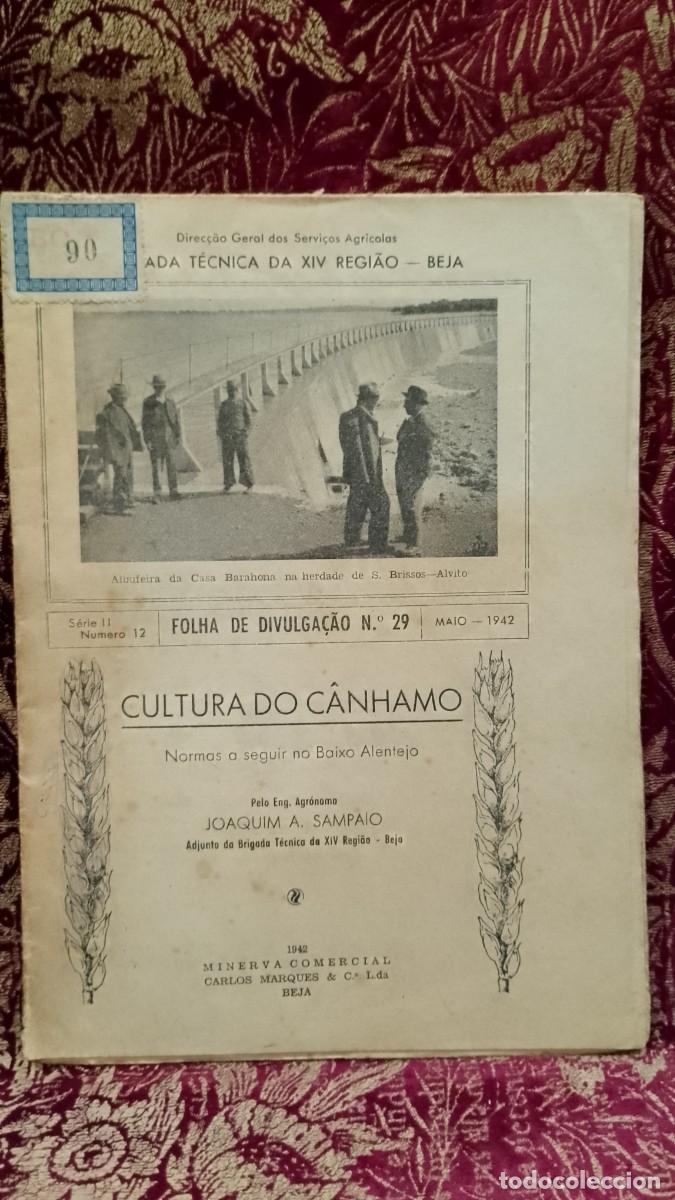 Libros de segunda mano: Cultura do C&acirc;nhamo 1942 Baixo Alentejo - Beja