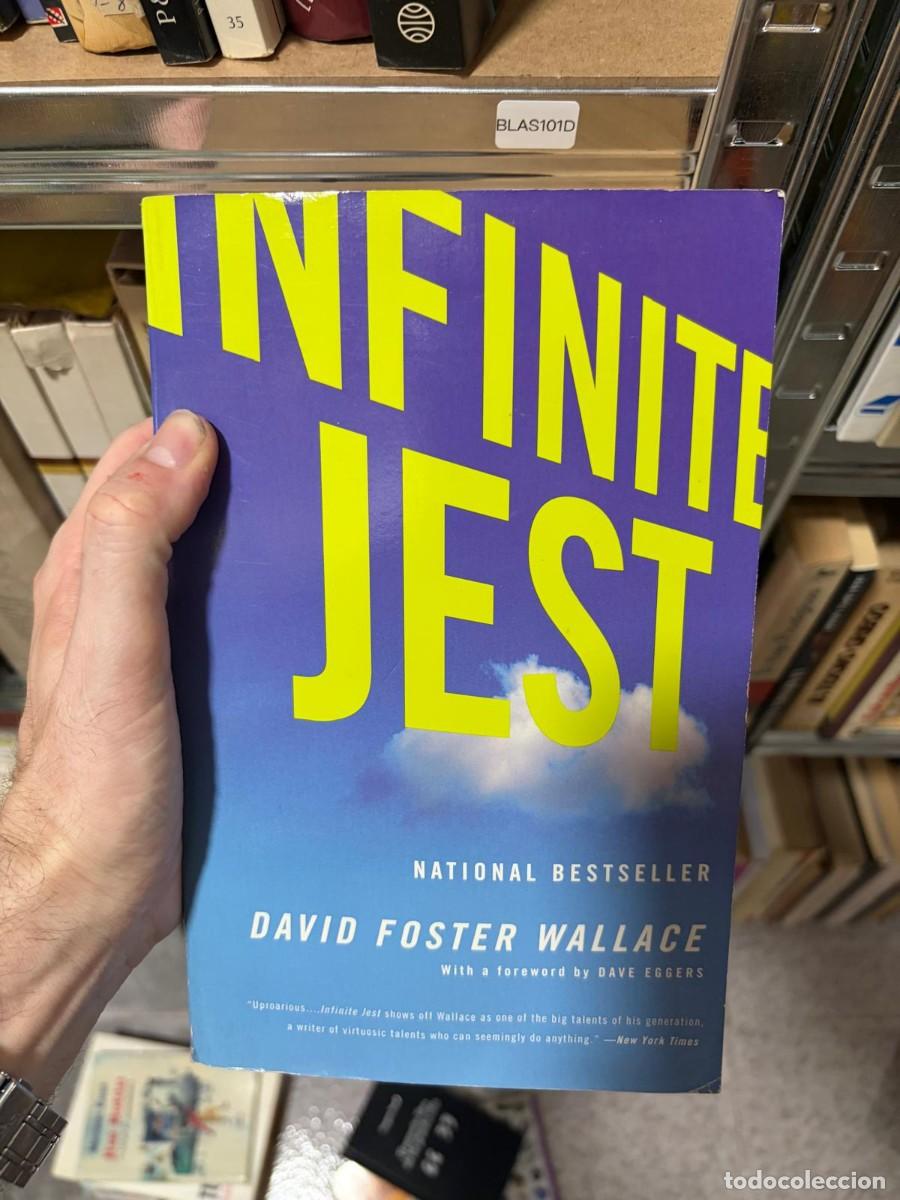 Libros de segunda mano: BLAS101D David Foster Wallace, Infinite Jest