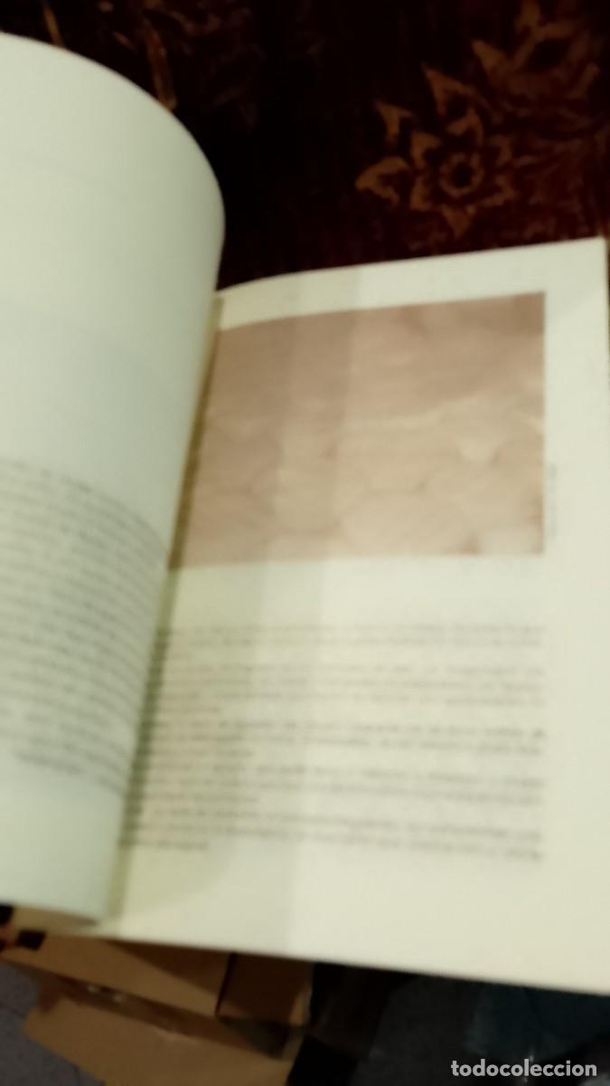 Libros de segunda mano: Serpa Um Olhar sobre o Concelho - Foto 2