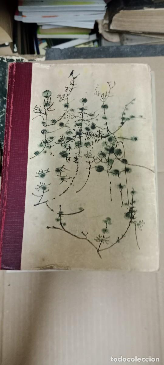Libros de segunda mano: BIBLIOTECA READERS EN OTRO IDIOMA LIBRO GG-AUR
