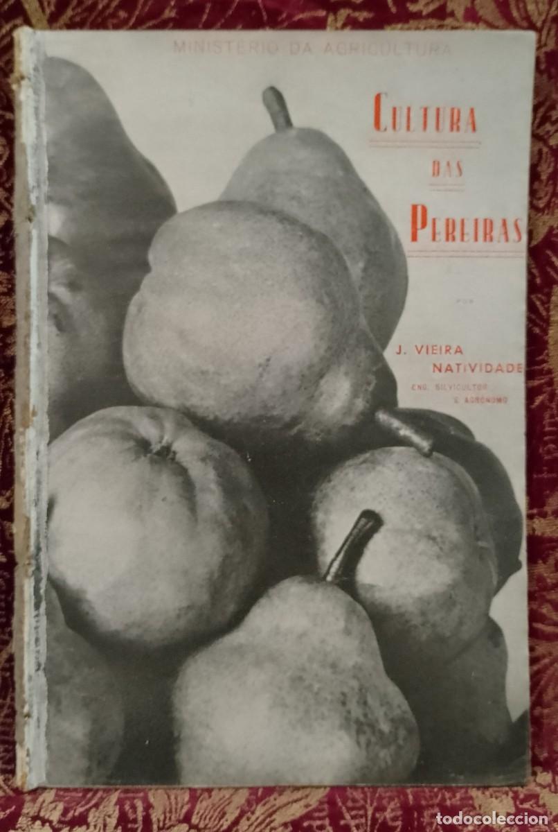 Libros de segunda mano: Cultura das Pereiras 1973 J. Vieira Natividade N&ordm;1