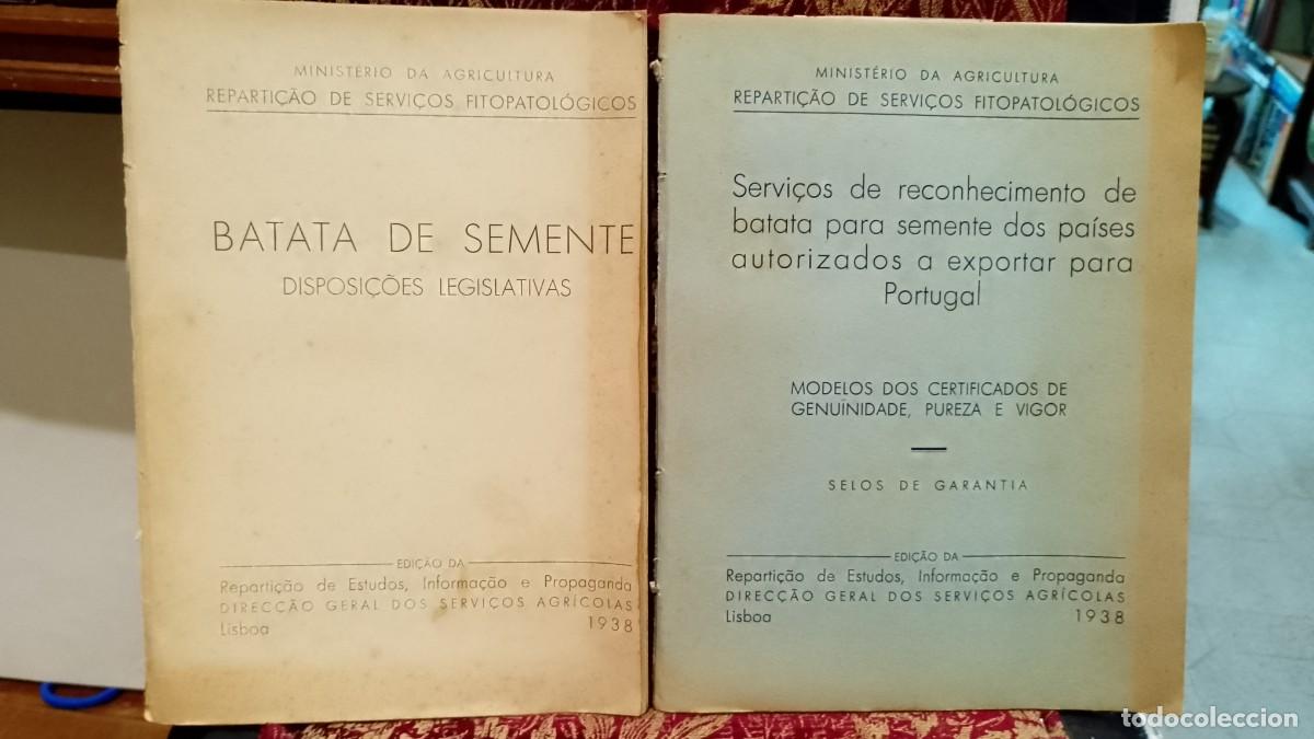 Libros de segunda mano: Batata de Semente 1938 Reparti&ccedil;&atilde;o Fitopatol&oacute;gicos