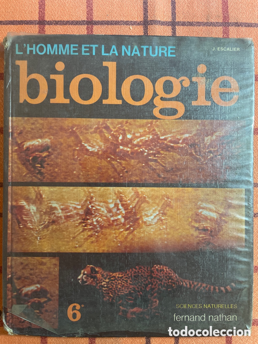 Libros de segunda mano: Libro Franc&eacute;s Biologie 6e Homme et la Nature - Nathan