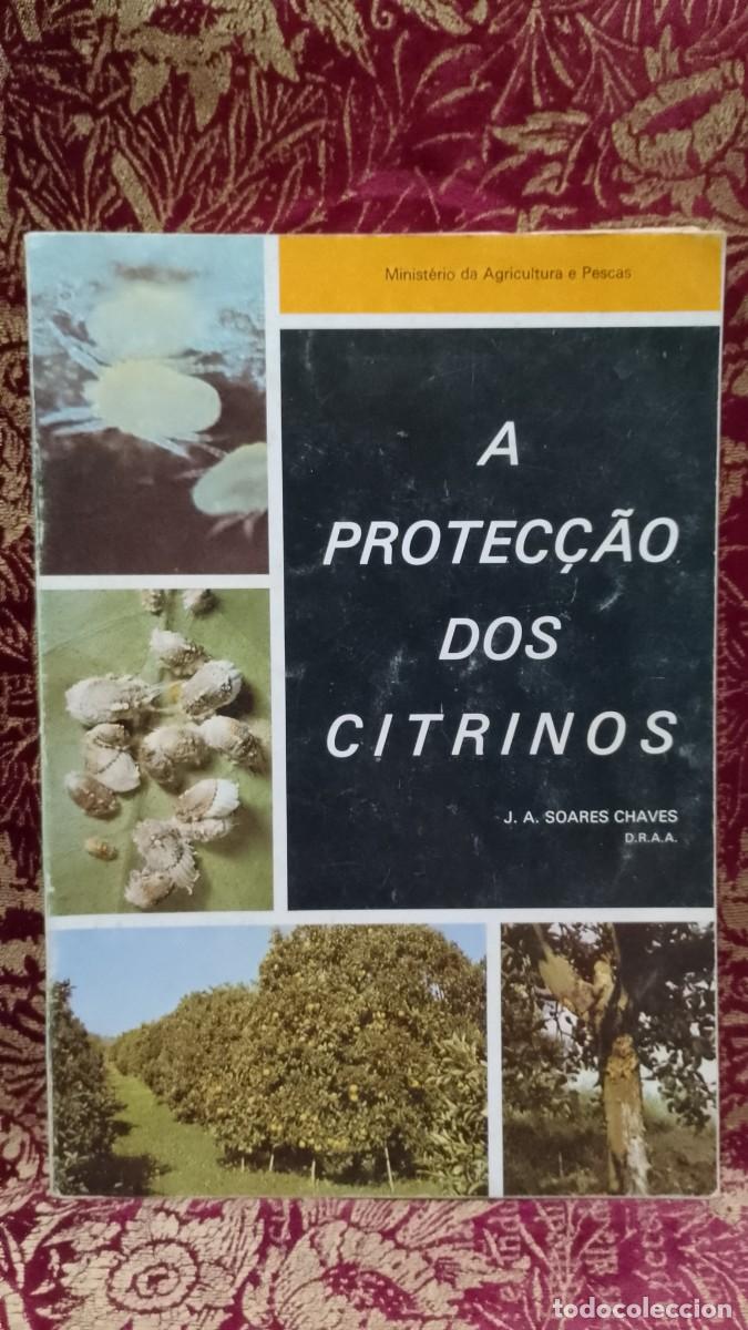 Libros de segunda mano: A Prote&ccedil;&atilde;o dos Citrinos - J. A. Soares Chaves