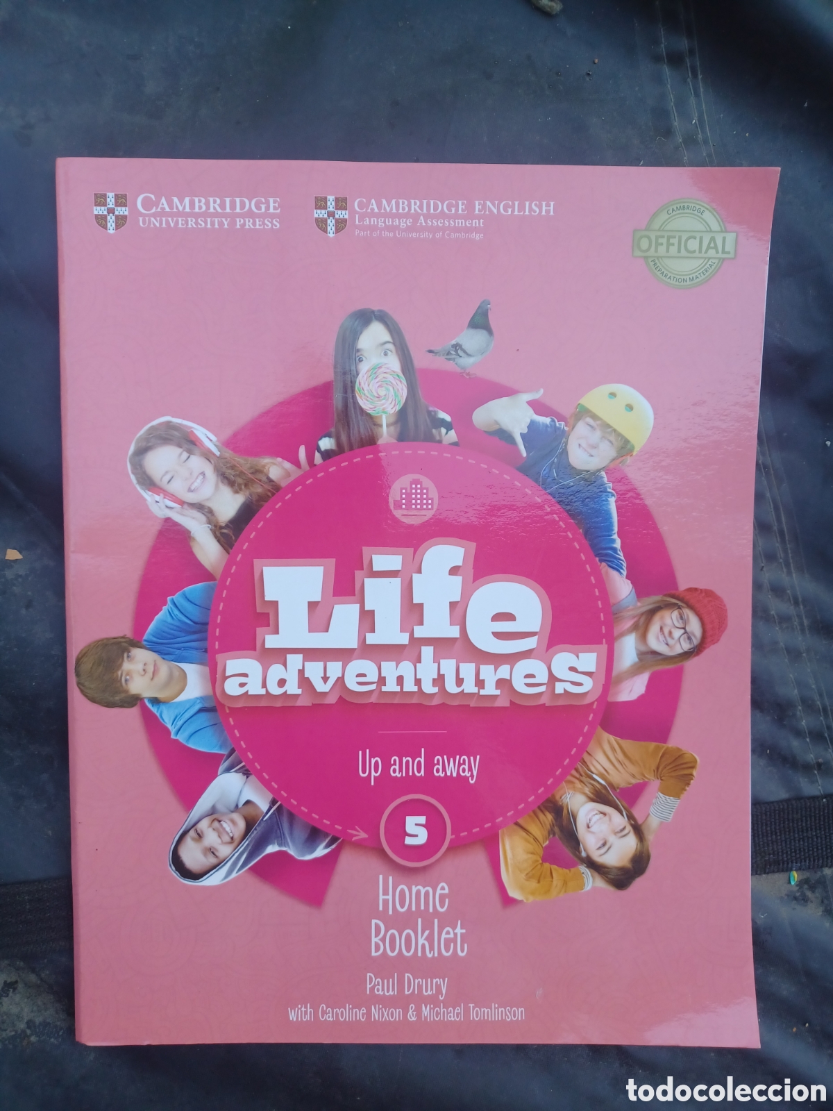 Libros de segunda mano: Life Adventures: Up and Away 5 Home Booklet