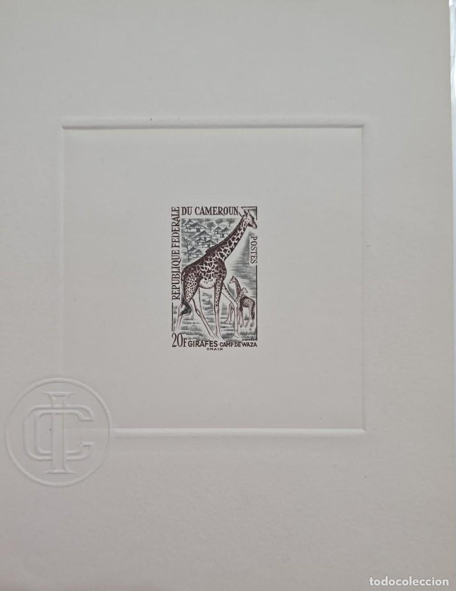 Libros de segunda mano: MI) 1962 CAMERON, PAPER PROOF OF THE ENGRAVING, BLIND STAMP IN THE LOWER-LEFT CORNER; TWO GIRAFFES I