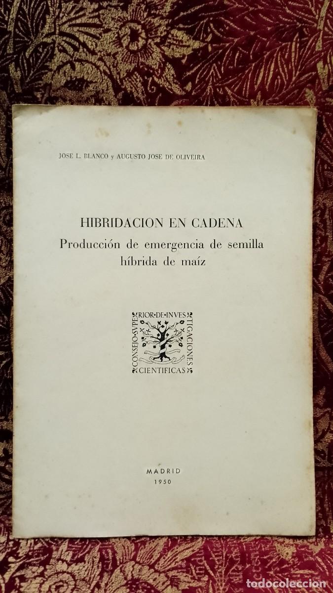 Libros de segunda mano: Hibridacion en Cadena 1950 Jos&eacute; L. Blanco