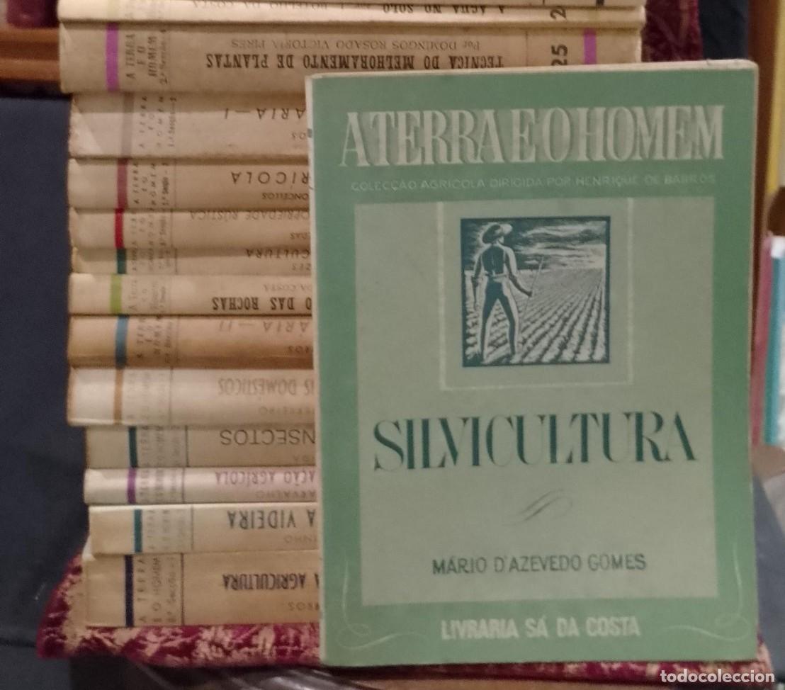 Livres d'occasion: A Terra e o Homem - Henrique de Barros 17 Unidades