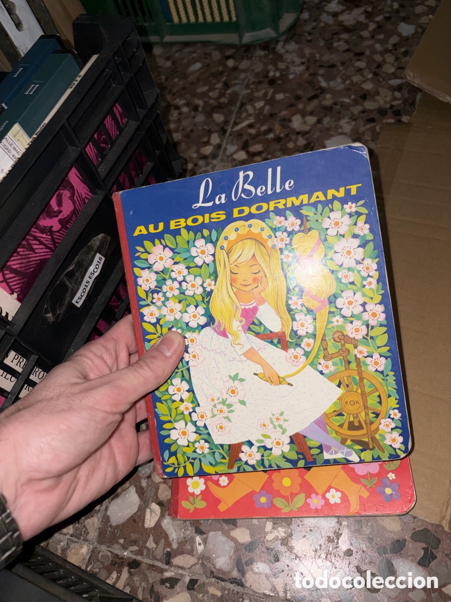 Libros de segunda mano: Esco15 la belle au bois dormant - hojas en carton&eacute;, la bella durmiente en franc&eacute;s