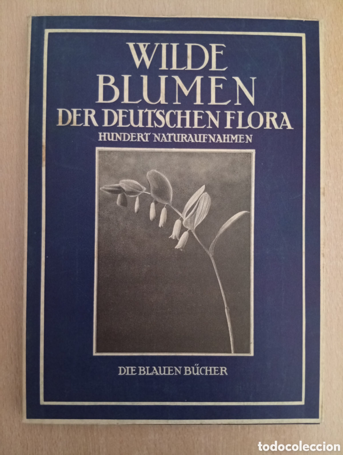 Libros de segunda mano: WILDE BLUMEN DER DEUTSCHEN FLORA. Paul Dobe (1941)