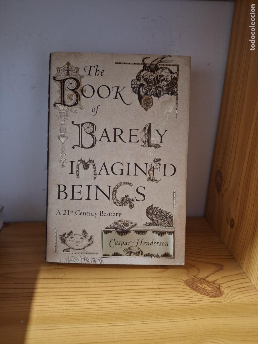 Libros de segunda mano: The book of barely imagined bings . A 21st. Century Bestiafy