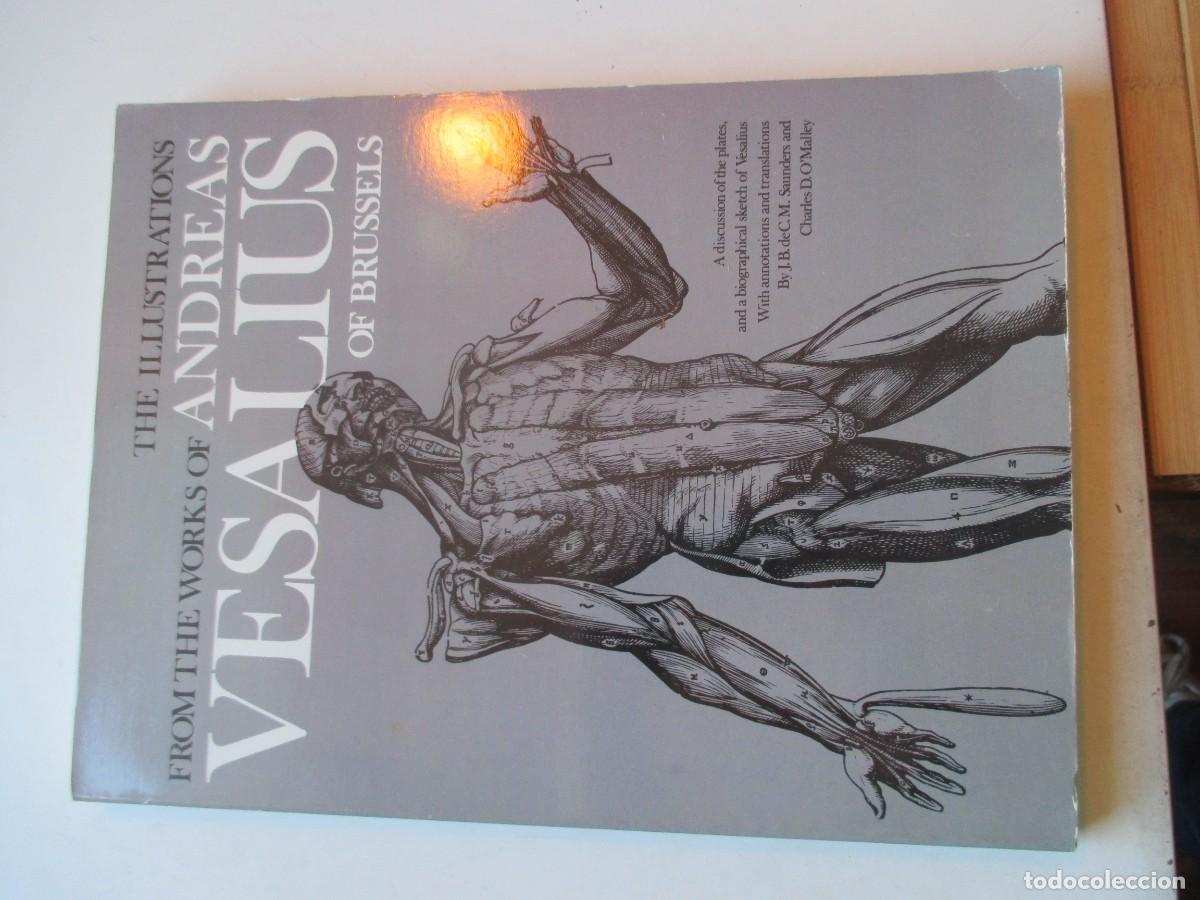 Libros de segunda mano: The illustrations from the works of Andreas Vesalius of Bruselas ( ingl&eacute;s) W42408