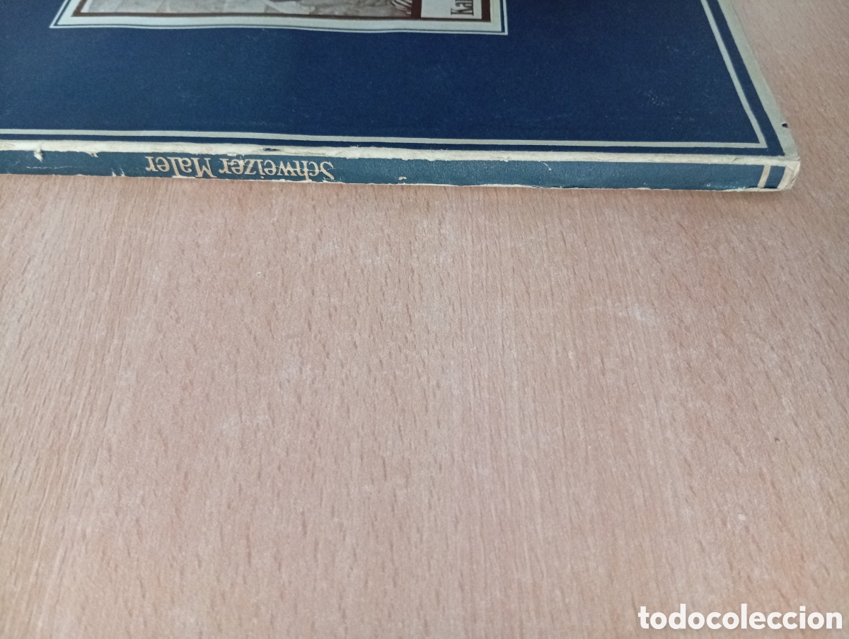 Libros de segunda mano: SCHWEIZER MALER. Hans Graber - Foto 9