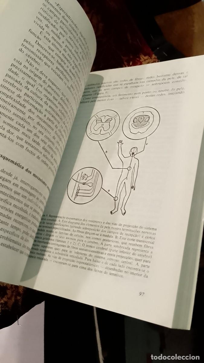 Libros de segunda mano: O Desafio da Dor - Ronald Melzack e Patrick Wall - Foto 4