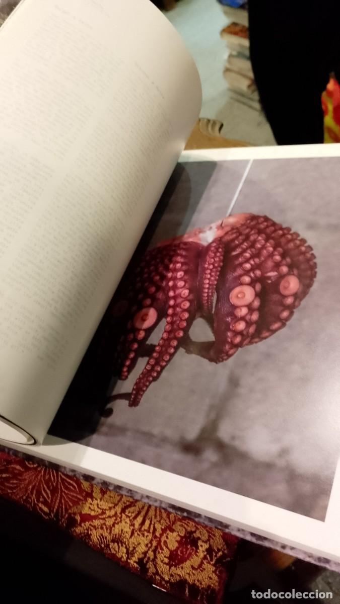 Libros de segunda mano: Casa Solla - Pepe Solla - Foto 10