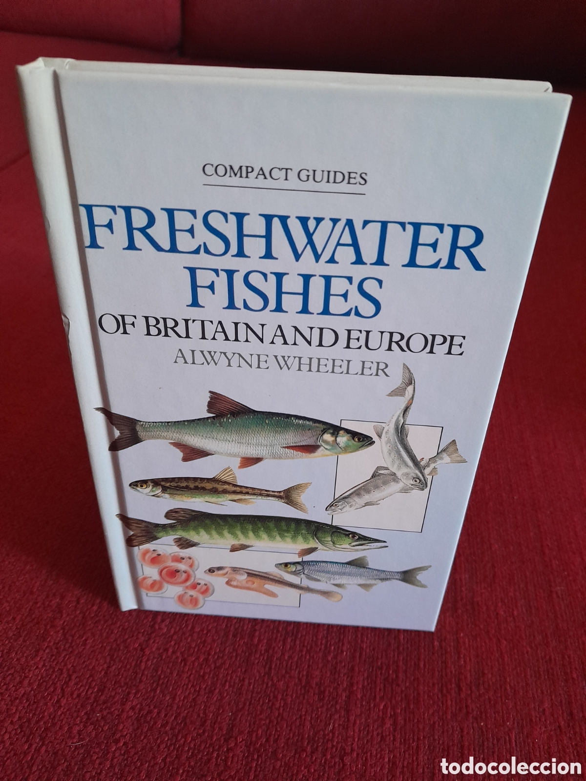 Libros de segunda mano: -Freshwater Fishes Of Britain And Europe.Guia en Ingles.