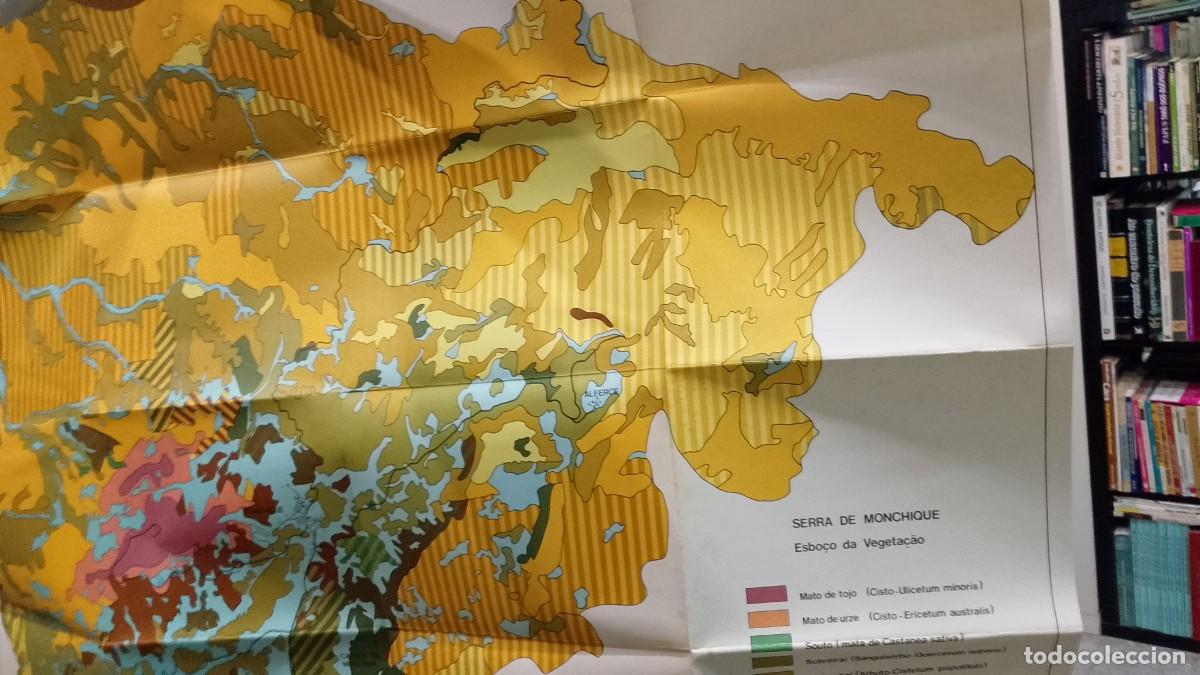 Libros de segunda mano: Carta da Serra de Monchique - Esbo&ccedil;o da Vegeta&ccedil;&atilde;o