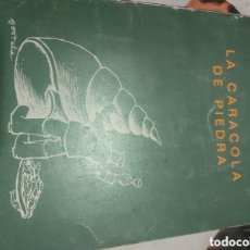 Libros de segunda mano: 1987 PONTEVEDRA LA CARACOLA DE PIEDRA EN PEDRO DÍAZ ÁLVAREZ. Lote 363806535