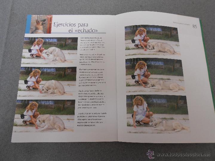 Libros de segunda mano: ADIESTRA A TU PERRO EN POSITIVO - Foto 5