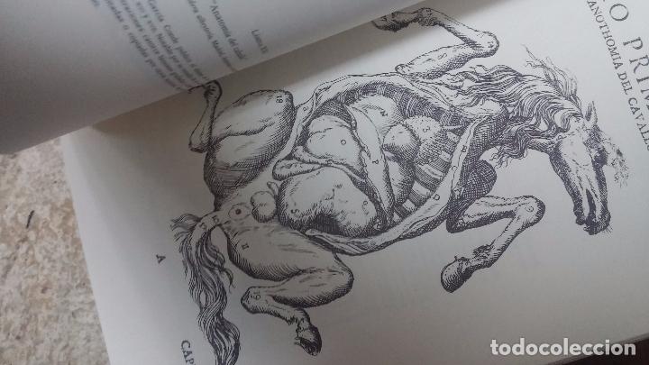 Libros de segunda mano: El grabado en la ciencia hispanica - Foto 9