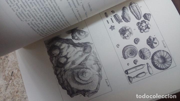 Libros de segunda mano: El grabado en la ciencia hispanica - Foto 18