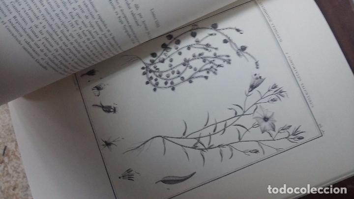 Libros de segunda mano: El grabado en la ciencia hispanica - Foto 19