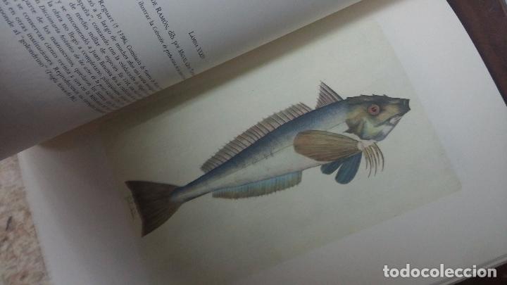 Libros de segunda mano: El grabado en la ciencia hispanica - Foto 20