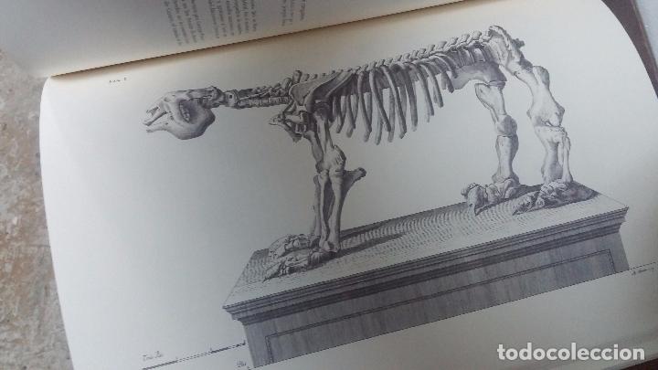 Libros de segunda mano: El grabado en la ciencia hispanica - Foto 34