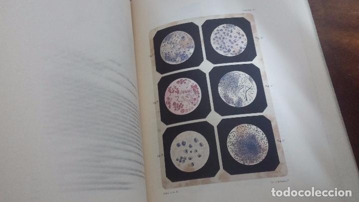 Libros de segunda mano: El grabado en la ciencia hispanica - Foto 35