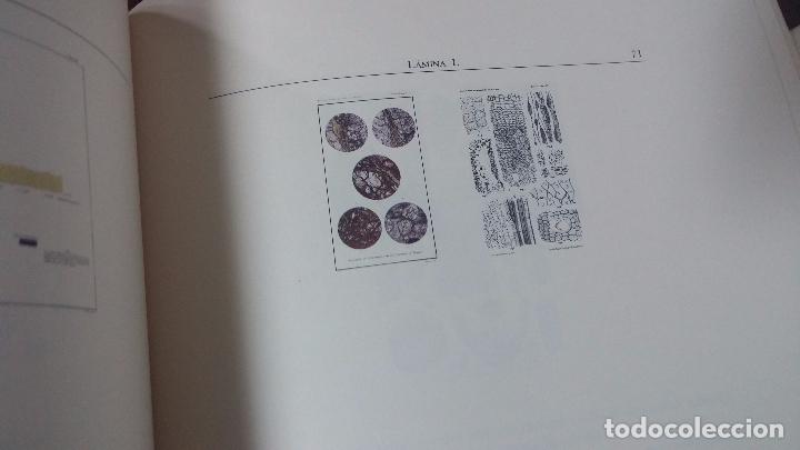 Libros de segunda mano: El grabado en la ciencia hispanica - Foto 50
