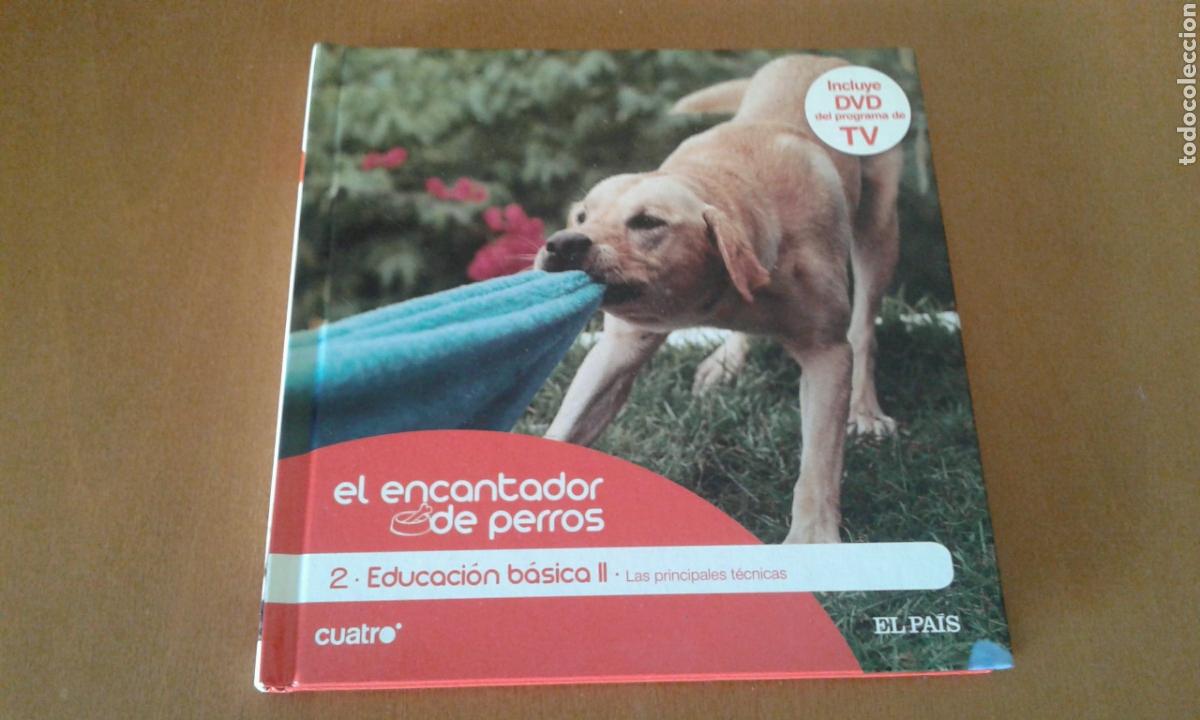 Libros de segunda mano: El encantador de perros numero 2 - Foto 1