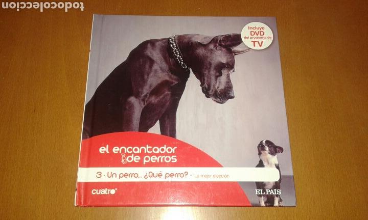 Libros de segunda mano: El encantador de perros numero 3 - Foto 1