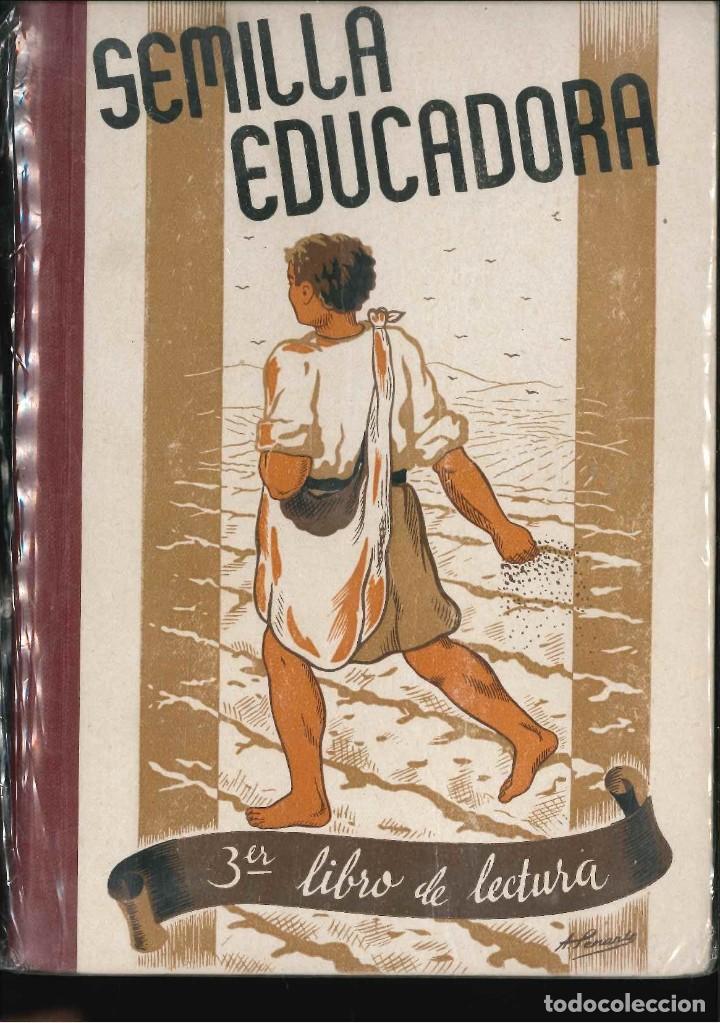 Libros de segunda mano: SEMILLA EDUCADORA  3 LIBRO LECTURA - Foto 1