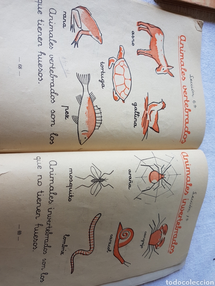 Libros de segunda mano: Libro escuela Mis primeros pasos 1956 - Foto 5
