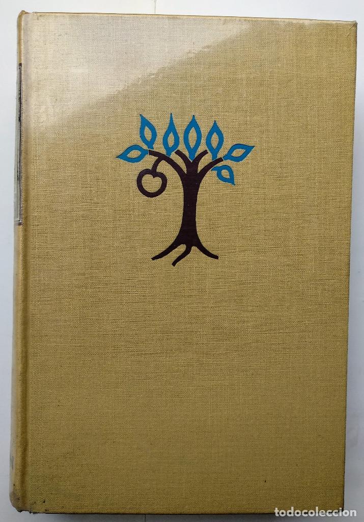 Libros de segunda mano: TU HIJO CRECE A. Isambert DAIMON - Foto 2