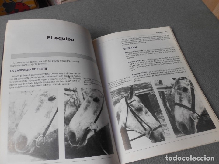 Libros de segunda mano: ENTRENAMIENTO BASICO DEL CABALLO - Foto 6