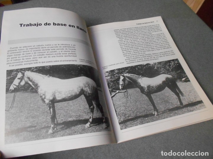 Libros de segunda mano: ENTRENAMIENTO BASICO DEL CABALLO - Foto 7