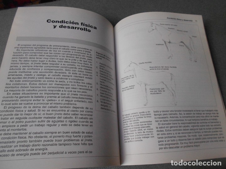 Libros de segunda mano: ENTRENAMIENTO BASICO DEL CABALLO - Foto 9
