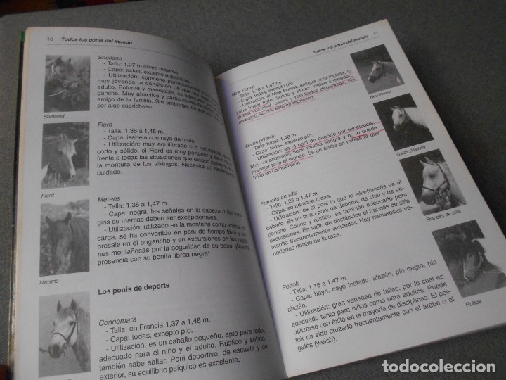 Libros de segunda mano: EL PONI - Foto 4