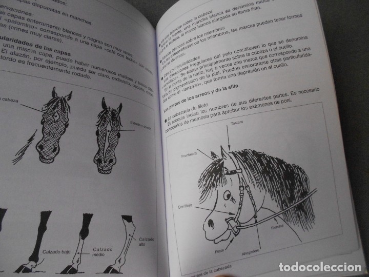Libros de segunda mano: EL PONI - Foto 7