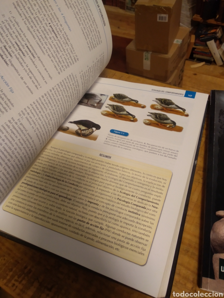 Libros de segunda mano: PSICOBIOLOGIA UNED #5325 - Foto 7