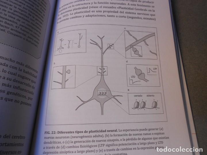 Libros de segunda mano: EL CEREBRO ARTISTICO - Foto 4
