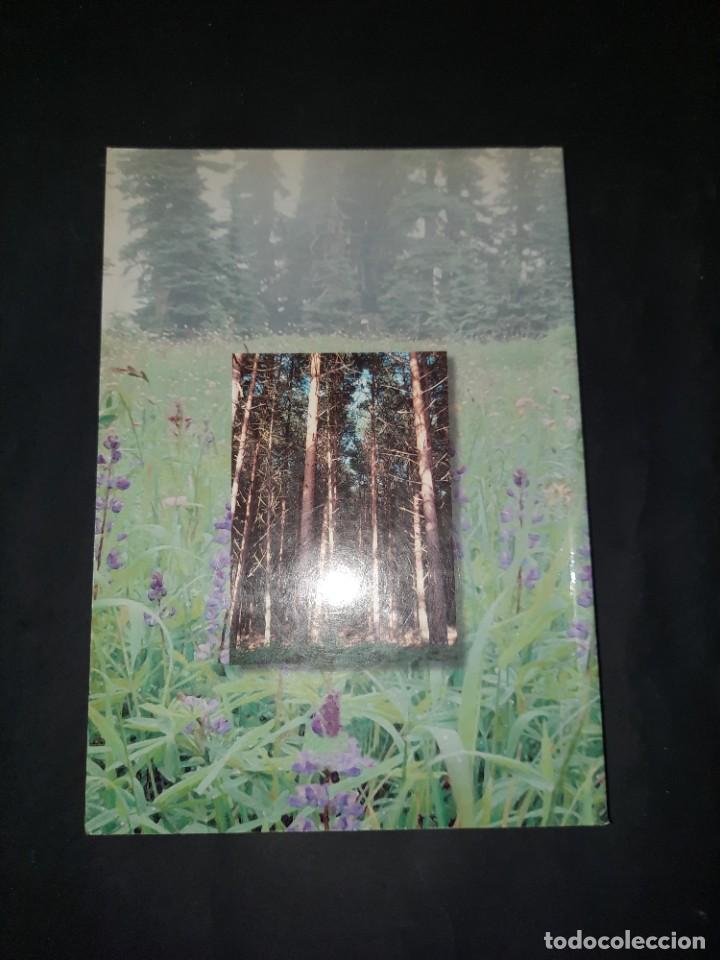 Libros de segunda mano: E2B2 MANUAL MECANIZACION FORESTAL - Foto 2