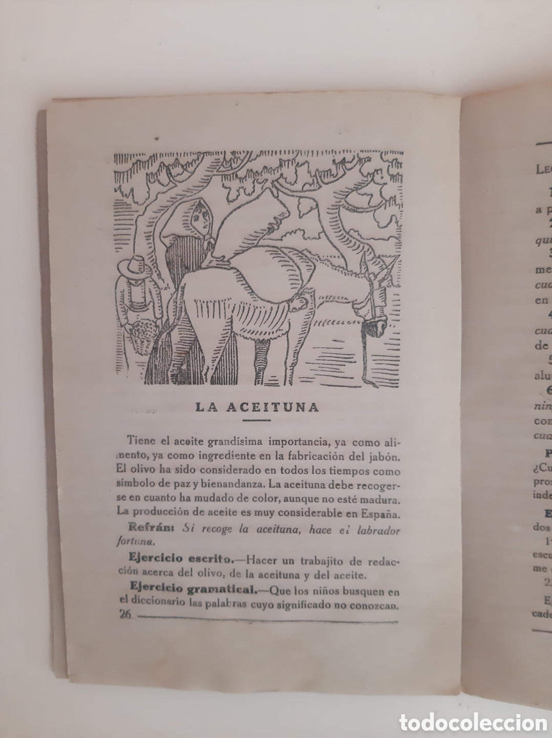 Libros de segunda mano: GRAM&Aacute;TICA SEGUNDO GRADO- Ezequiel Solana - Foto 5