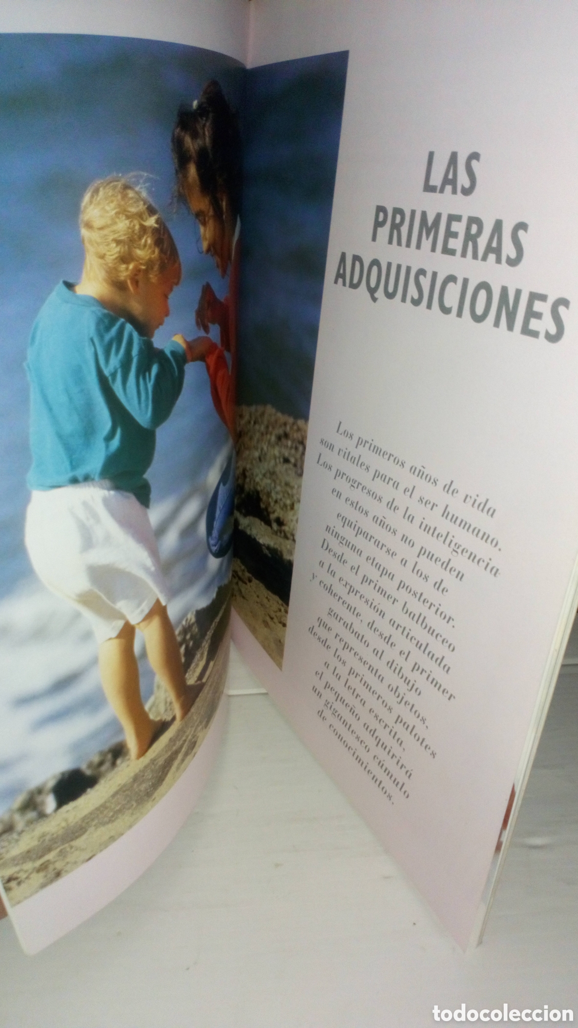 Libros de segunda mano: Comenzar a aprender - Las primeras adquisiciones - Salvat 2007 - Foto 6